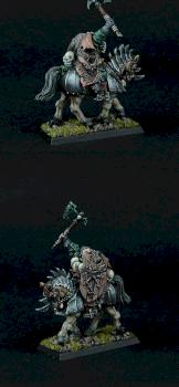 Chaos Nurgle champion/Heros by Ajnarus