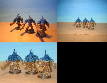 Stealth Team by White Wolf