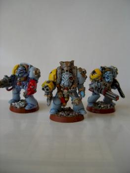 Space Wolf Terminators by Furiousxr