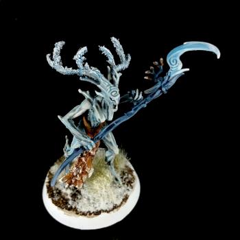 Wintery Sylvaneth Branchwych by darcybono