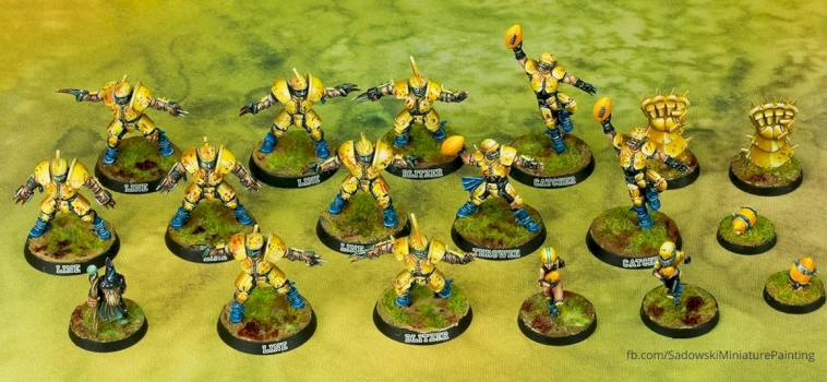 Blood Bowl Human Team by Sadziu