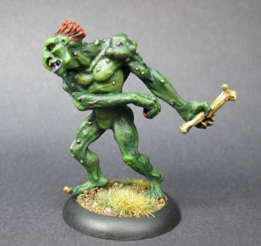D&D Troll by mikecarrero