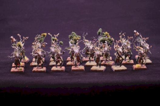 Wood Elves Dryads by hkuspforty5