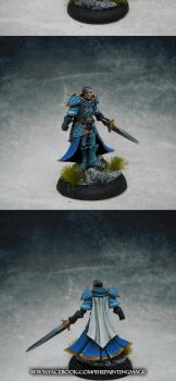 Paladin by miniking