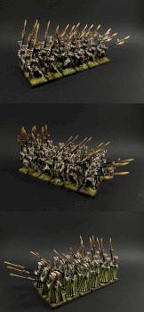 Fenix Guard / Guardia del Fenix by terrynor