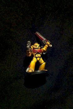 Imperial Fists Space Marine Champion by wartype