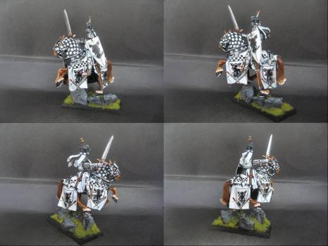 Warhammer Bretonnian Champion Knight of Warthog by tinman755
