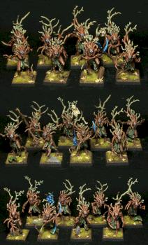 Wood Elf Dryads by DrumAndBass