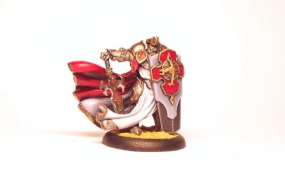 Paladin of the Order of the Wall by IronMind