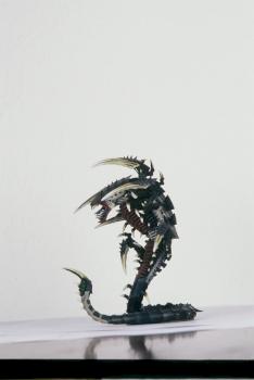 TRYGON by Freddy the Teddy