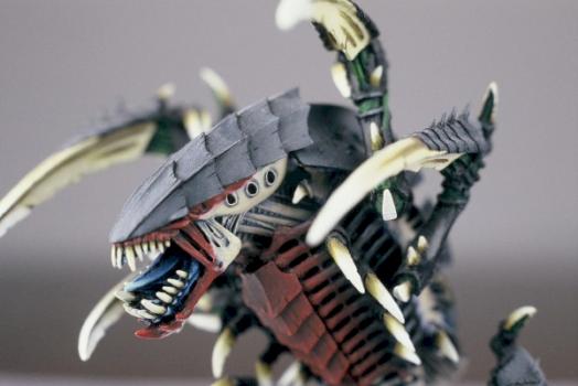 Trygon by Freddy the Teddy