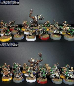 blood bowl  skaven team by brl81