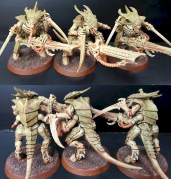 Tyranid Warriors by nr40k