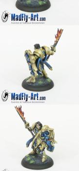 Almaran the Gold, Paladin by MadFlyArtStudio