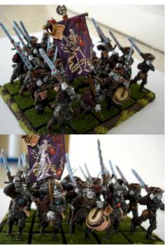 my drakenhof guard by wonkobaggins