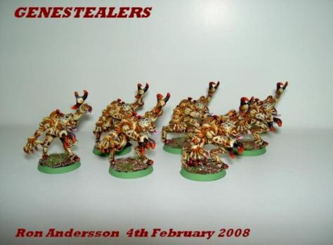 Genestealers by Sizor