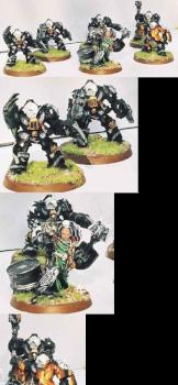 Black Templar Assault Termis by fraggL