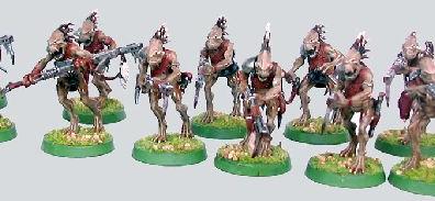 Kroot Carnivores Squad by Lynxeyed