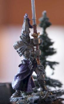 Garde royal de doriman by Crushing