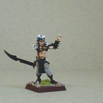 Witch Elf Champion by stevedaccs