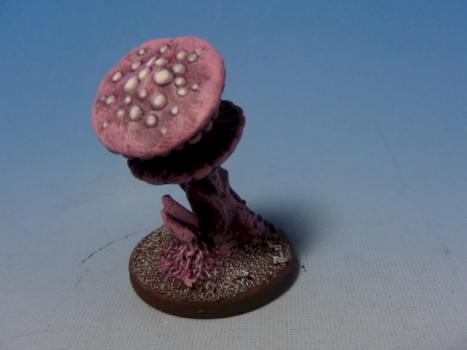 Violet Fungi by martydebergy