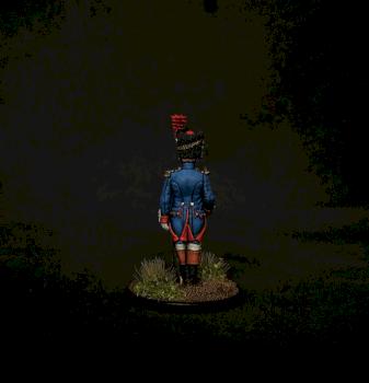 Napoleonic French Grenadier officer 28mm by jibster