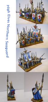 High Elves Northern Seaguard by hazelanne