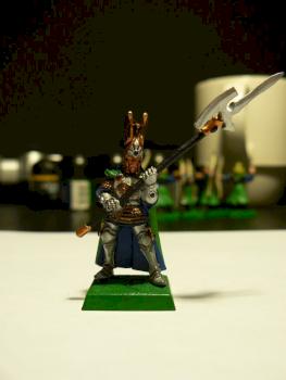 High Elf-Pheonix Guard Front by zuriel45