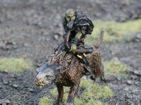 Warg Rider by Son of Gondor