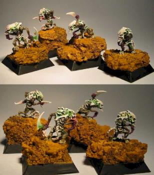 Pests of flesh by NAVARRO