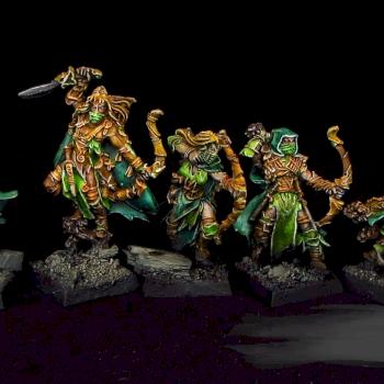 Wood Elves Waywatchers by Awaken Realms