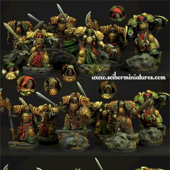 SF Lions Knights by Scibor