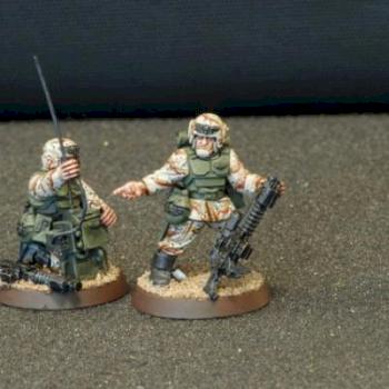 guardsmen by skalgrim