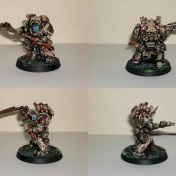 Typhus by lickar