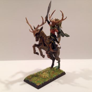 Wild rider by Mr_Mitch