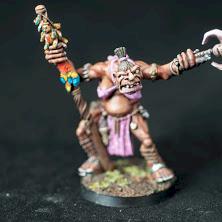Shaman Ogre by DiceMiniaturePaintGuy