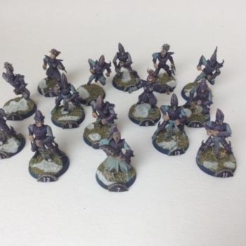 Blood bowl dark elves team converted by tyyler