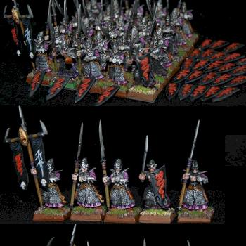 30 dark elf warriors; shield magetised by capopik