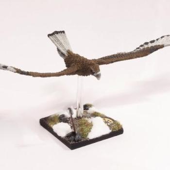 High Elf Eagle by schimmelpilz