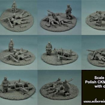 PolishCKM Wz 1930 with Crew Scale 1:72 by Scibor
