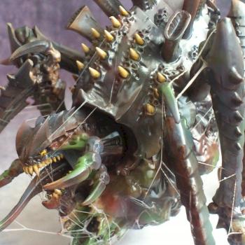 Tervigon by Balage L.