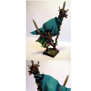 Wood Elves Battle Standard Bearer by davidvc04
