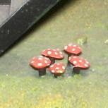 Toadstools by 4800direct