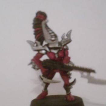 Dark eldar by Carmine