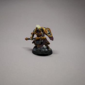 PoM Exemplar Warder by daviongroovy