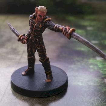 Drow Blademaster Repaint (DDM) by tonygucci