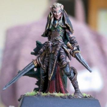 Elven Rogue (Reaper) by tonygucci