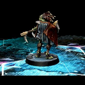 Dahyak Grekh, Kroot Tracker by castlebrush