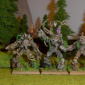 Wood elves Tree kin by seg