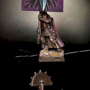 High/ Dark Elf Standard Bearer by Szczurak